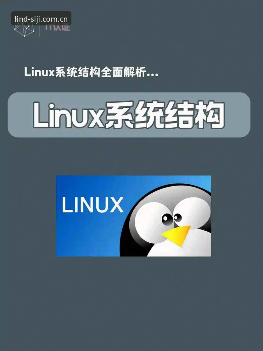 四季查询系统怎么登录哪个好 四季查询系统登录方式全面解析:哪个入口更高效实用?